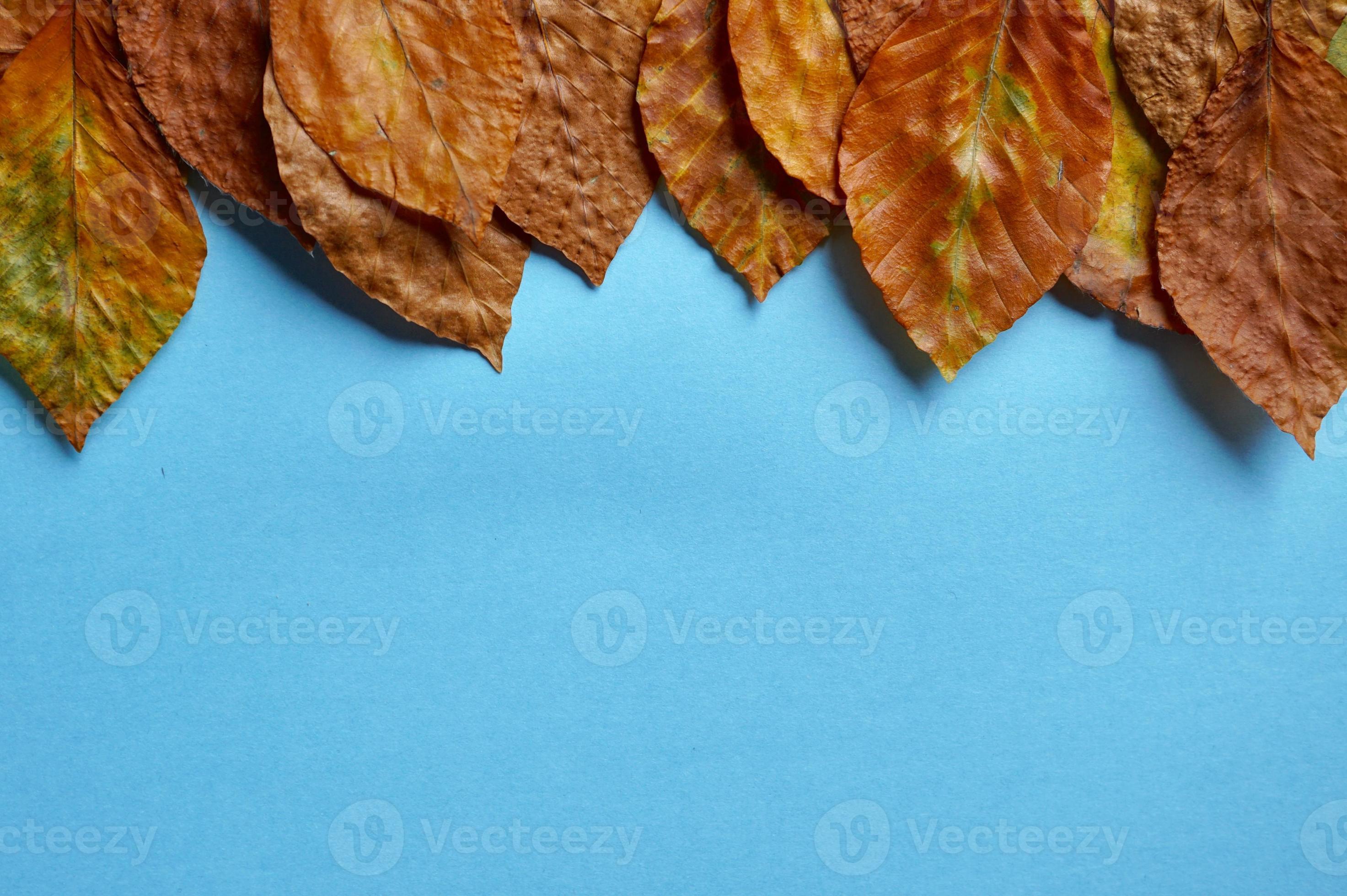 droge bruine bladeren op de blauwe achtergrond foto