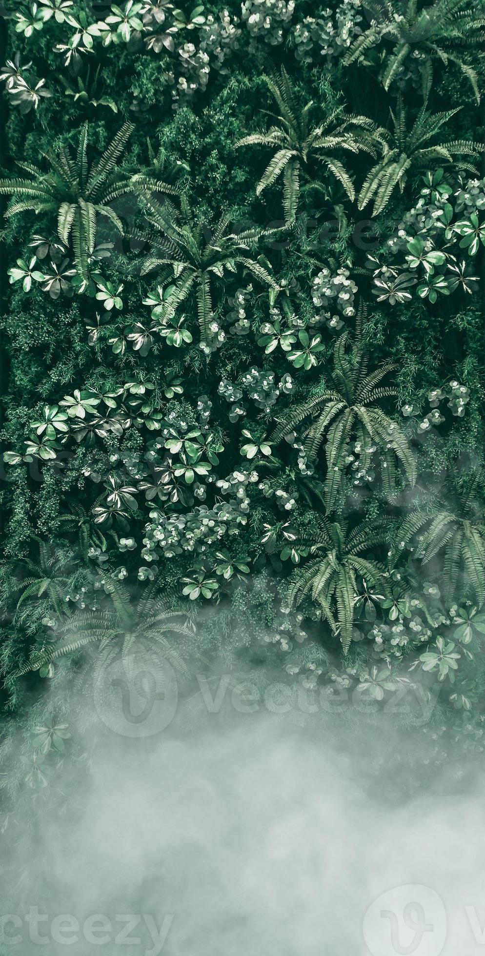 verticale tuin met tropisch groen blad met mist en regen foto