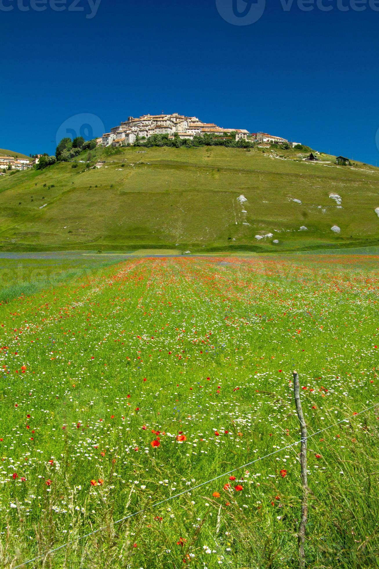 castelluccio di norcia en zijn bloeiende natuur foto