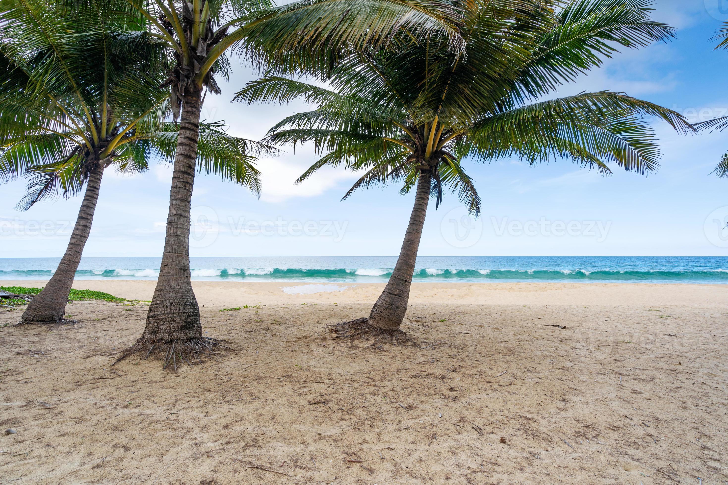 zomerachtergrond van kokospalmen op wit zandstrand foto