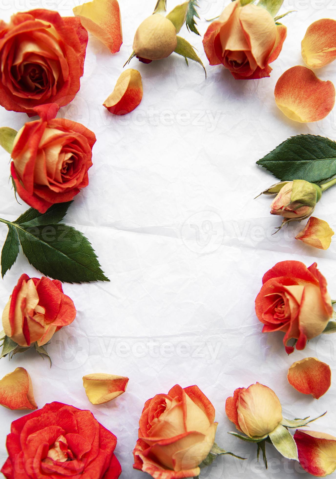 vrede Verniel had het niet door bloemen samenstelling. frame gemaakt van rode rozen en bladeren op wit  papier achtergrond 2902594 stockfoto bij Vecteezy
