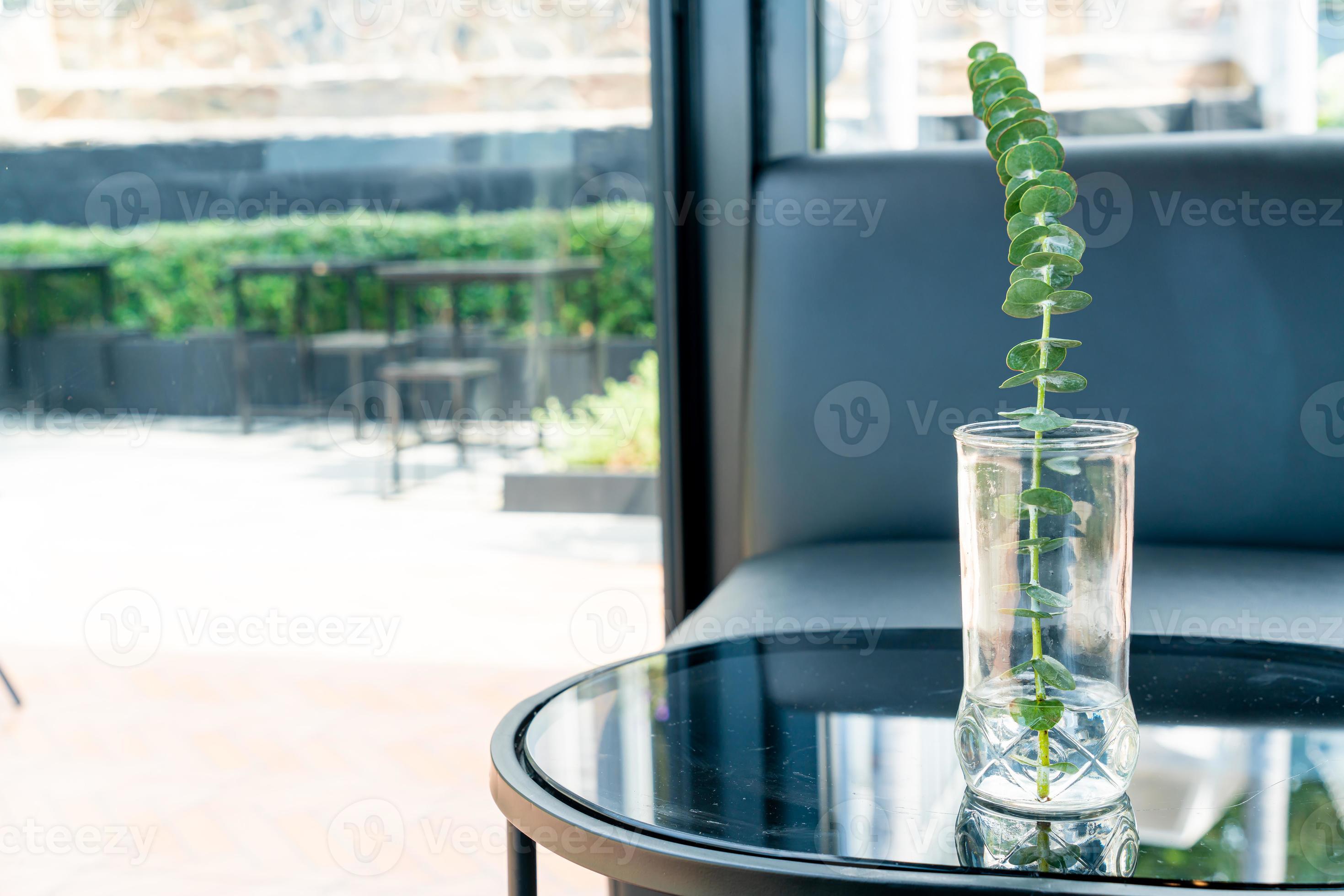 plant in vaas decoratie op tafel in woonkamer Stockfoto