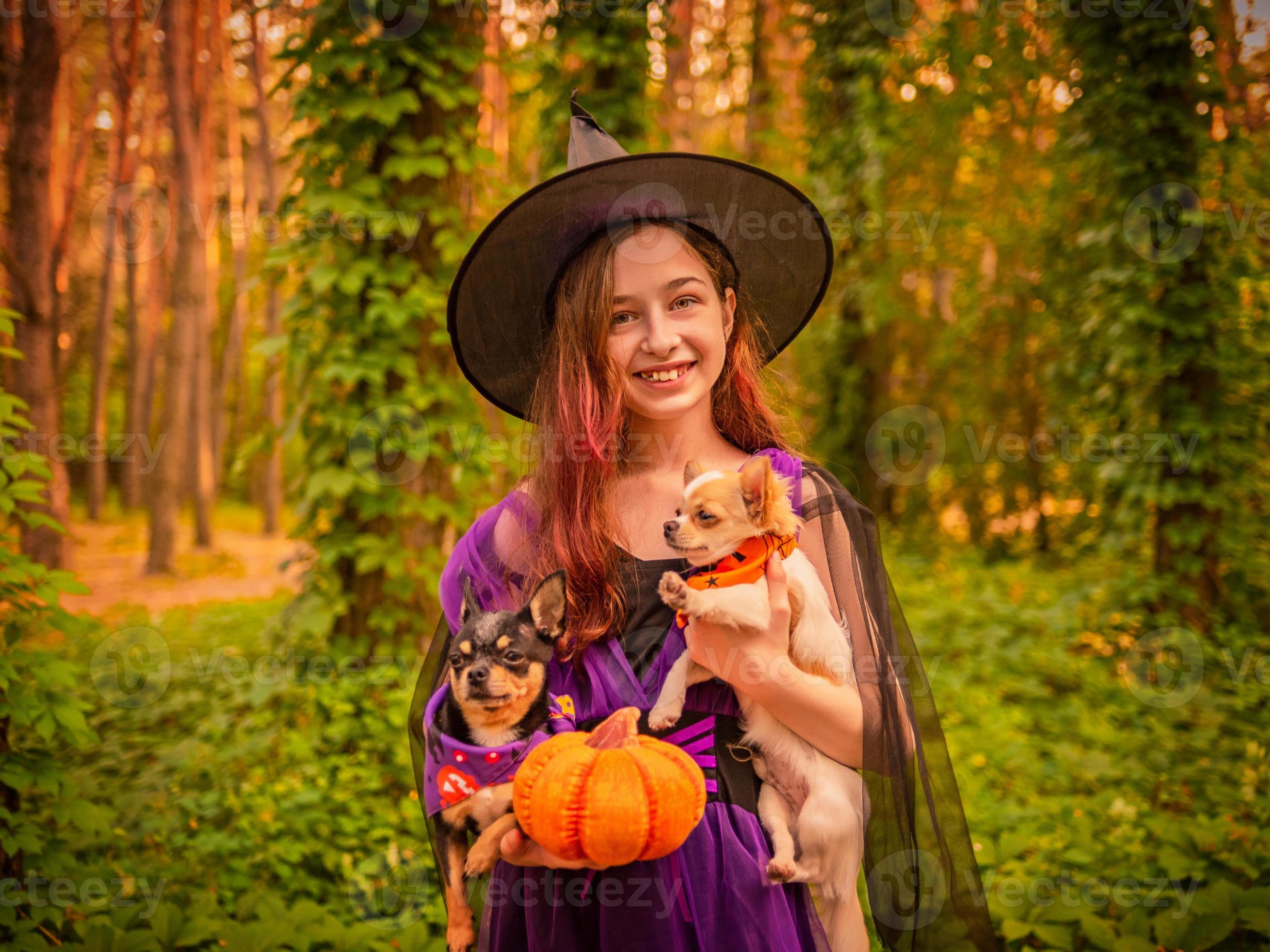 Waarschuwing vaak Uitputten klein meisje verkleed als heks in het bos met twee honden. meisje en  chihuahua. halloween. 3656350 Stockfoto