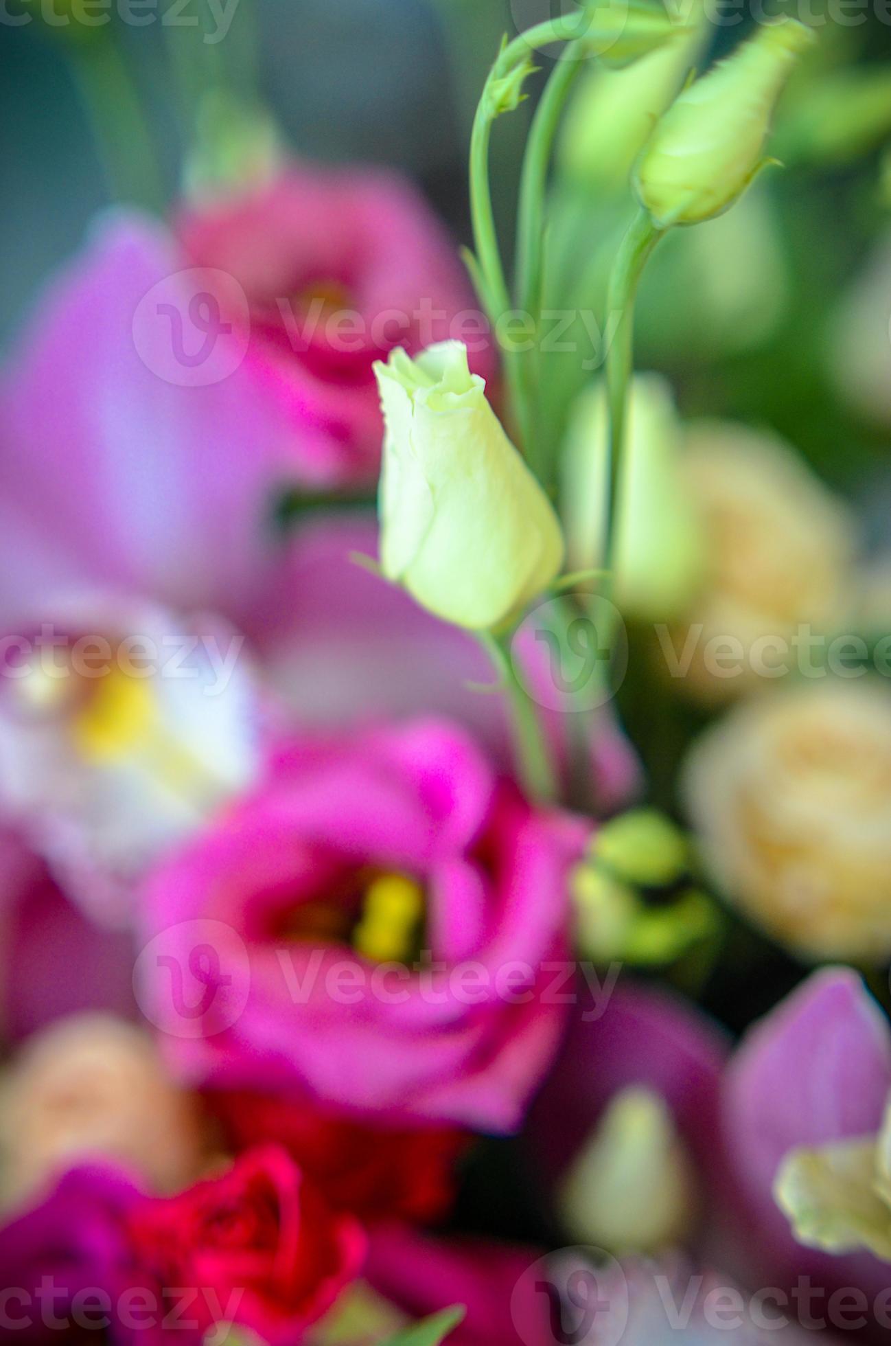 boeket met orchideeën en rozen op een mooie achtergrond foto