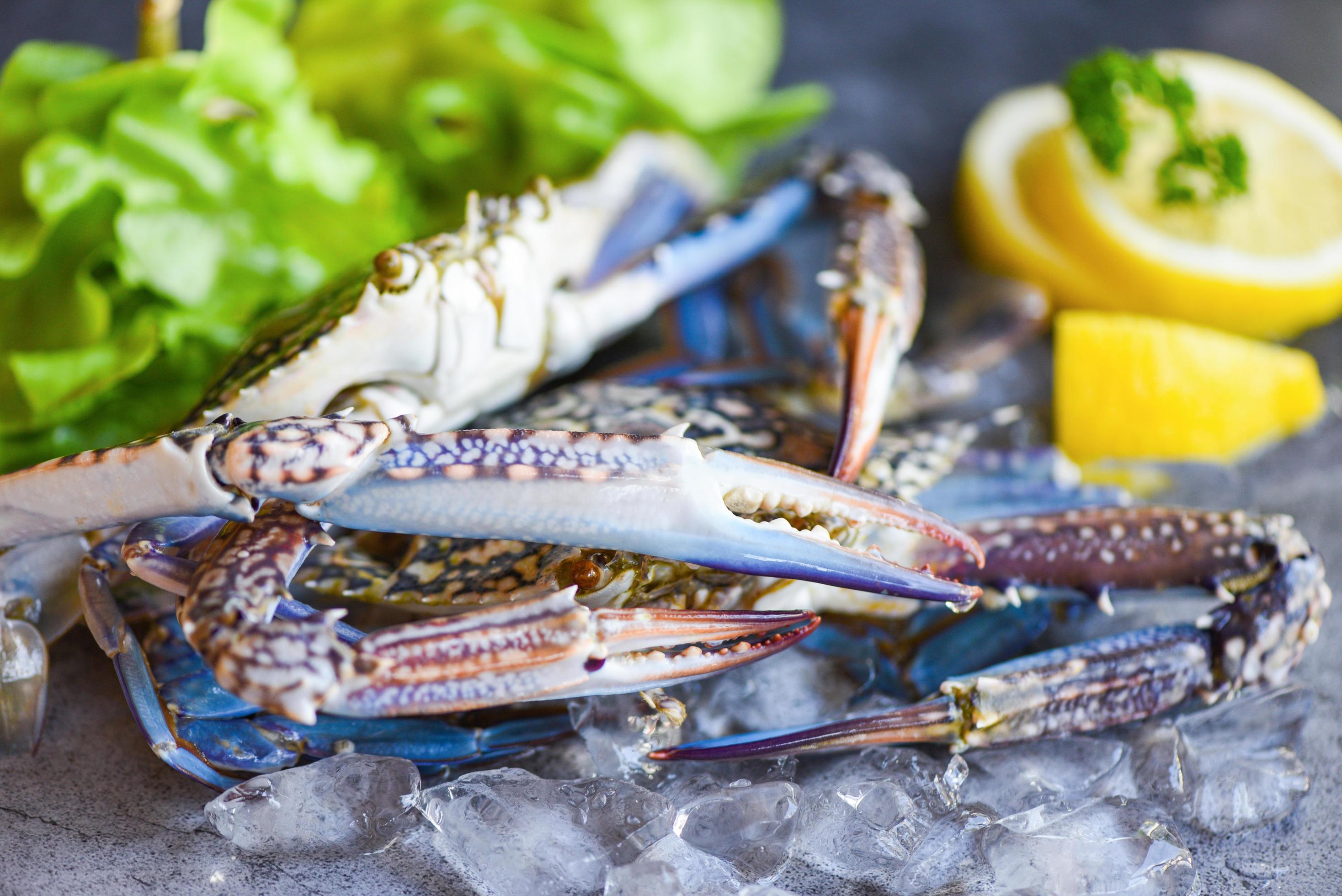 verse krab voor gekookt voedsel in restaurant of vismarkt rauwe krab op ijs met kruiden citroen en salade sla op de donkere plaat achtergrond blauwe zwemkrab foto
