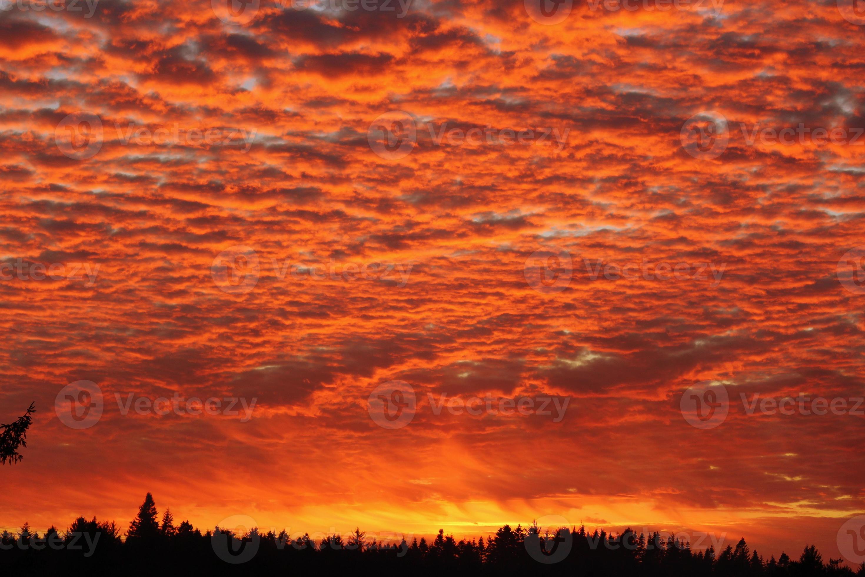 oranje zonsondergang foto