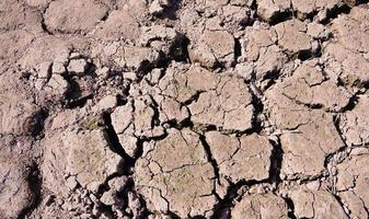 gedroogde gebarsten aarde bodem grond textuur achtergrond, patroon van droogte gebrek aan water van de natuur oude gebroken. foto