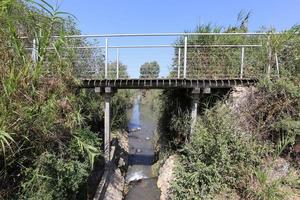 kleine brug in stadspark foto