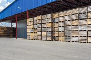 rijen houten kisten dozen en pallets voor groenten en fruit in opslagvoorraad. productie magazijn. plantenindustrie foto