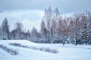 bevroren winterbos met besneeuwde bomen. foto