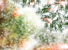 winters landschap. besneeuwde bomen. kerst achtergrond foto