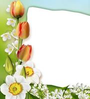 vakantie lente kaart. bloemen achtergrond. heldere kleurrijke bloemen. foto