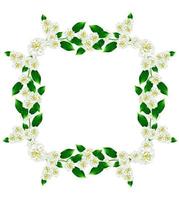 frame van jasmijnbloemen foto