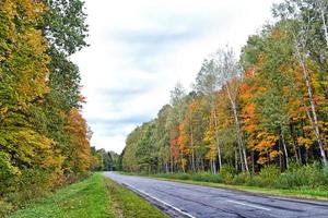 herfstlandschap met helder kleurrijk gebladerte. nazomer. foto