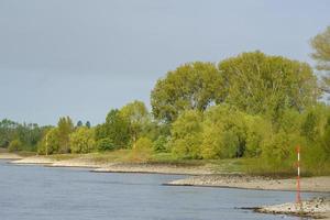 de rivier de Rijn bij wesel foto