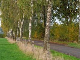 herfsttijd in Westfalen foto