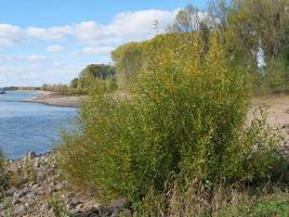 de rivier de Rijn bij wesel foto