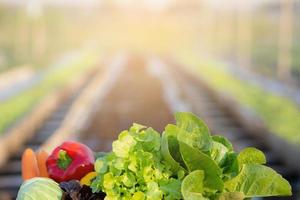 verse biologische rauwe groente en fruit in mand voor salade in hydrocultuurboerderij, vegetarisch en gezond voedsel of ingrediënt en kruid voor het koken van gezondheid met kopieerruimte. foto