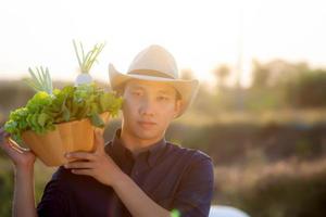 portret jonge Aziatische man glimlachend oogst en oppakken van verse biologische moestuin in mand in de hydrocultuur boerderij, landbouw en teelt voor gezonde voeding en business concept. foto