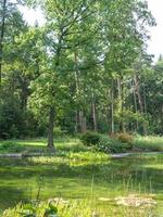 zomertijd in een Duits park foto