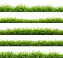 verse lente groen gras geïsoleerd foto