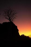 silhouet van een boabboom bij zonsondergang foto