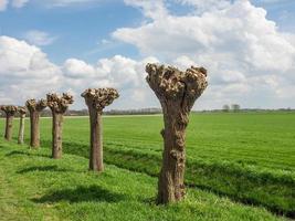 eibergen in nederland foto