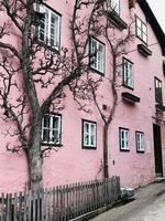 gebouw met roze muur gespoten textuur betonnen achtergrond met droge boom en hek decoratie in retro stijl foto