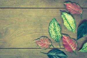 herfstbladeren op houten background.vintage style foto