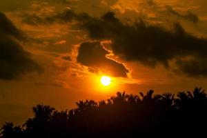 zonsondergang met silhouet van de bomen foto