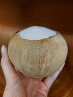verbrande kokosnoot die bovenop is geschild, dus kan kokoswater drinken en kokosvlees eten. foto