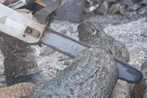 hout snijden met een kettingzaag, brandhout oogstproces close-up foto