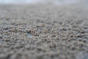 de drijvende groef van het leefgebied van de hoornogige spookkrab of ocypode op het witte zand aan zee foto