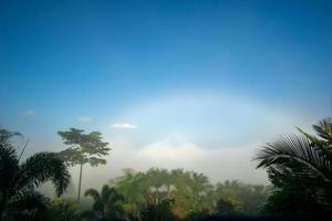 natuurlijk fenomeen. mistboog of witte regenboog komt boven de mist voor. foto