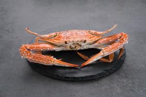 gestoomde blauwe krab geserveerd op bord, voedselbereiding foto