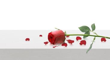 rode rozen en rozenblaadjes op houten tafelblad, Valentijnsdag concept foto