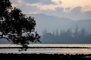 de sfeer aan zee in de vroege ochtend. eerste licht voor zonsopgang. Mangrove bos. foto