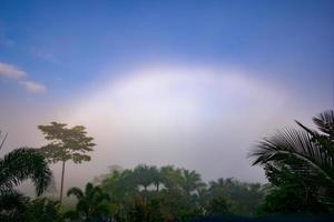 natuurlijk fenomeen. mistboog of witte regenboog komt boven de mist voor. foto
