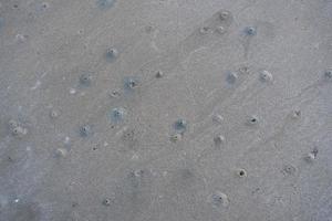 de drijvende groef van het leefgebied van de hoornogige spookkrab of ocypode op het witte zand aan zee foto
