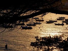 achtergrondverlichting van sportboten voor anker in een baai foto