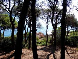 kustpad in de costa brava, het dennenbos en het blauwe zeegebied. foto