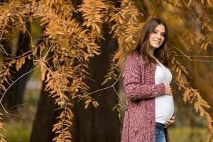 jonge zwangere vrouw in de herfst park foto