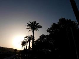 verlichte palmbomen aan de catalaanse costa brava foto
