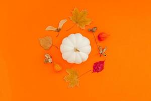herfst plat liggende compositie met witte pompoen foto