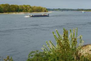 de rivier de Rijn bij wesel foto