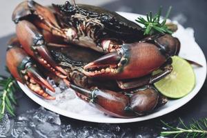 rauwe krab op witte plaatachtergrond, verse modderkrab met ijs voor het koken van voedsel in het visrestaurant foto