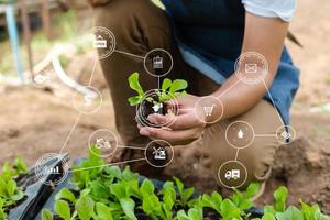 vrouw handen tuinieren sla in boerderij met groeiproces en chemische formule. met vr-pictogram foto