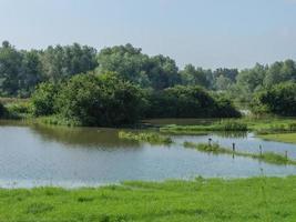 de rivier de Rijn bij bislich foto