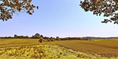 prachtig panoramisch uitzicht op een gouden herfstlandschap gevonden in europa foto