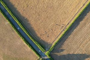 prachtige luchtfoto van het britse platteland bij sharpenhoe clappers engeland foto